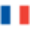 Current language flag